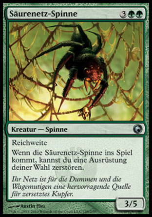 Surenetz-Spinne